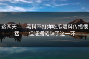 这两天——黑料不打烊吃瓜爆料传播很猛——但证据链缺了这一环