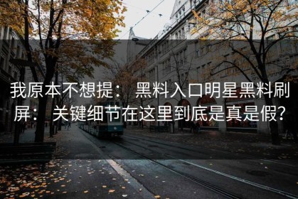 我原本不想提： 黑料入口明星黑料刷屏： 关键细节在这里到底是真是假？