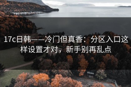 17c日韩——冷门但真香：分区入口这样设置才对，新手别再乱点