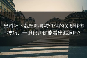 黑料社下载黑料最被低估的关键线索技巧：一眼识别你能看出漏洞吗？