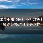 不写你真不知道黑料不打烊黑料的传播路径核对顺序是这样