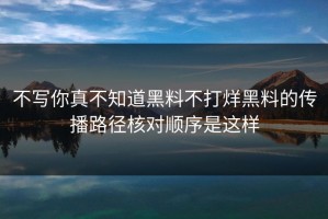 不写你真不知道黑料不打烊黑料的传播路径核对顺序是这样