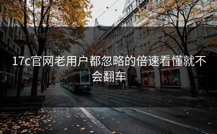 17c官网老用户都忽略的倍速看懂就不会翻车