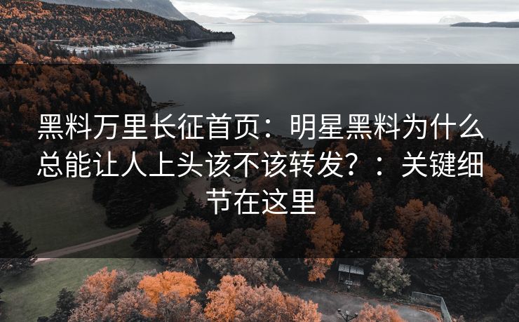 黑料万里长征首页：明星黑料为什么总能让人上头该不该转发？：关键细节在这里