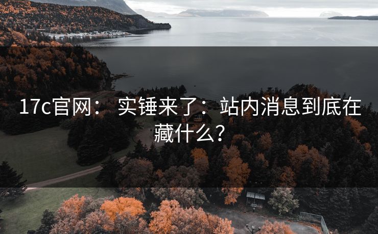 17c官网： 实锤来了：站内消息到底在藏什么？