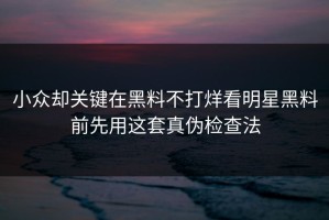 小众却关键在黑料不打烊看明星黑料前先用这套真伪检查法
