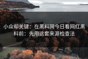 小众却关键：在黑料网今日看网红黑料前：先用这套来源检查法