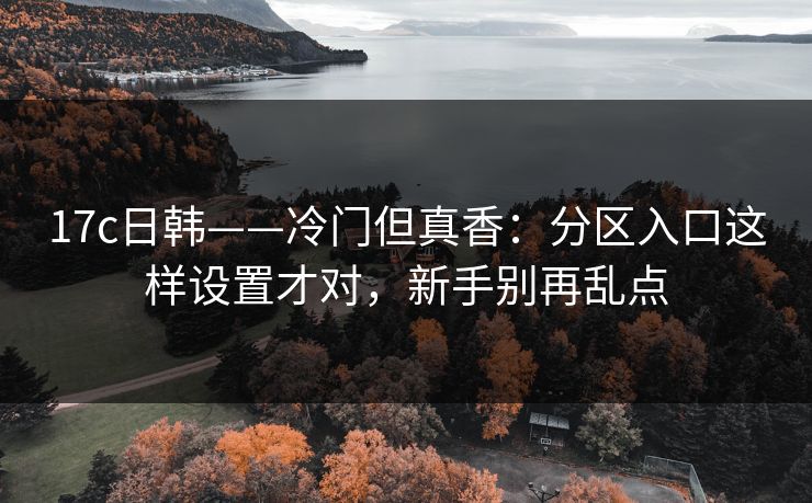 17c日韩——冷门但真香：分区入口这样设置才对，新手别再乱点